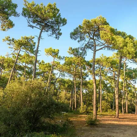La A Vos Pied Pour 4 Personnes Holiday home