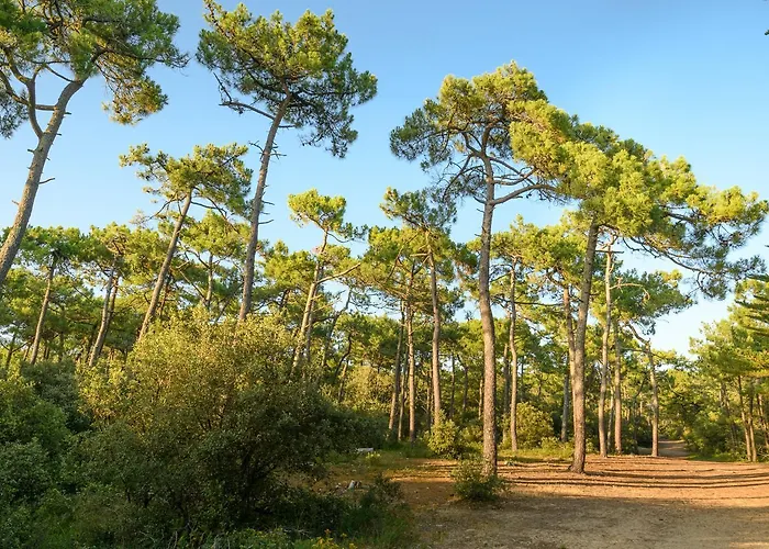 La A Vos Pied Pour 4 Personnes Tatil Evi
